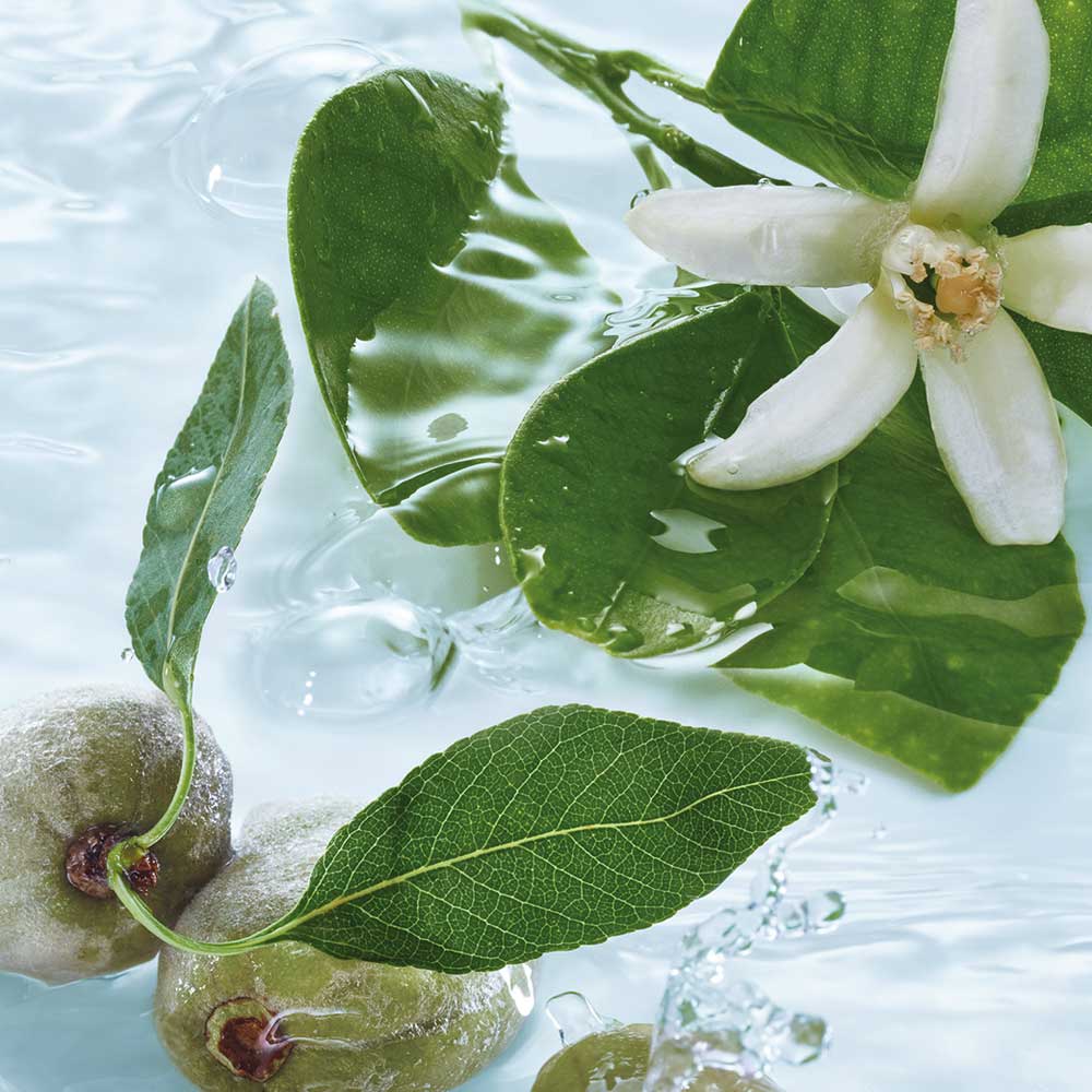 Yves Rocher Bain Douche Amande Fleur d'Oranger - 200ml