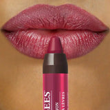 Burt's Bees Gloss Lip Crayon 100% naturel - Pacific Coast