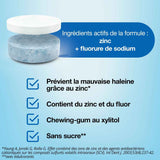 CB12 Boost Gomme à Mâcher Menthe Forte Sans Sucres x10