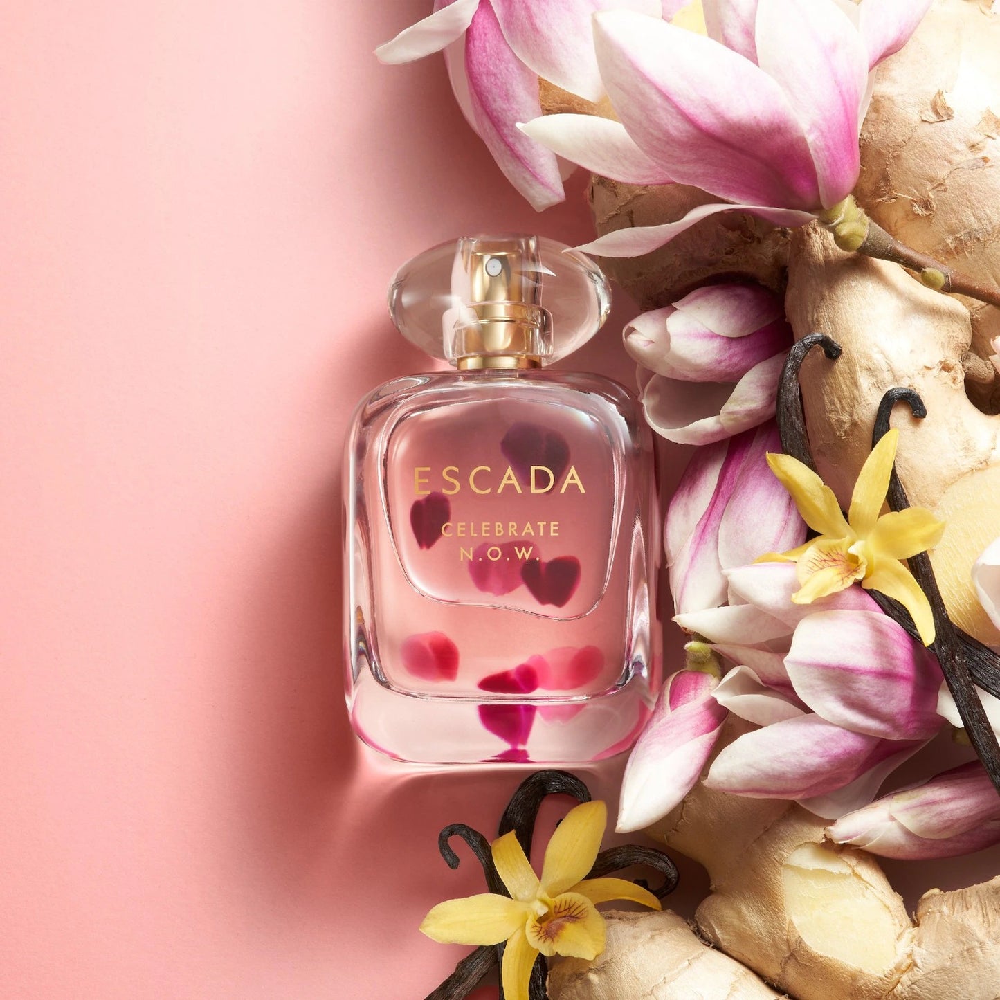 Escada Celebrate N.O.W. Eau de Parfum – Decants & Miniatures | BintaBeauty