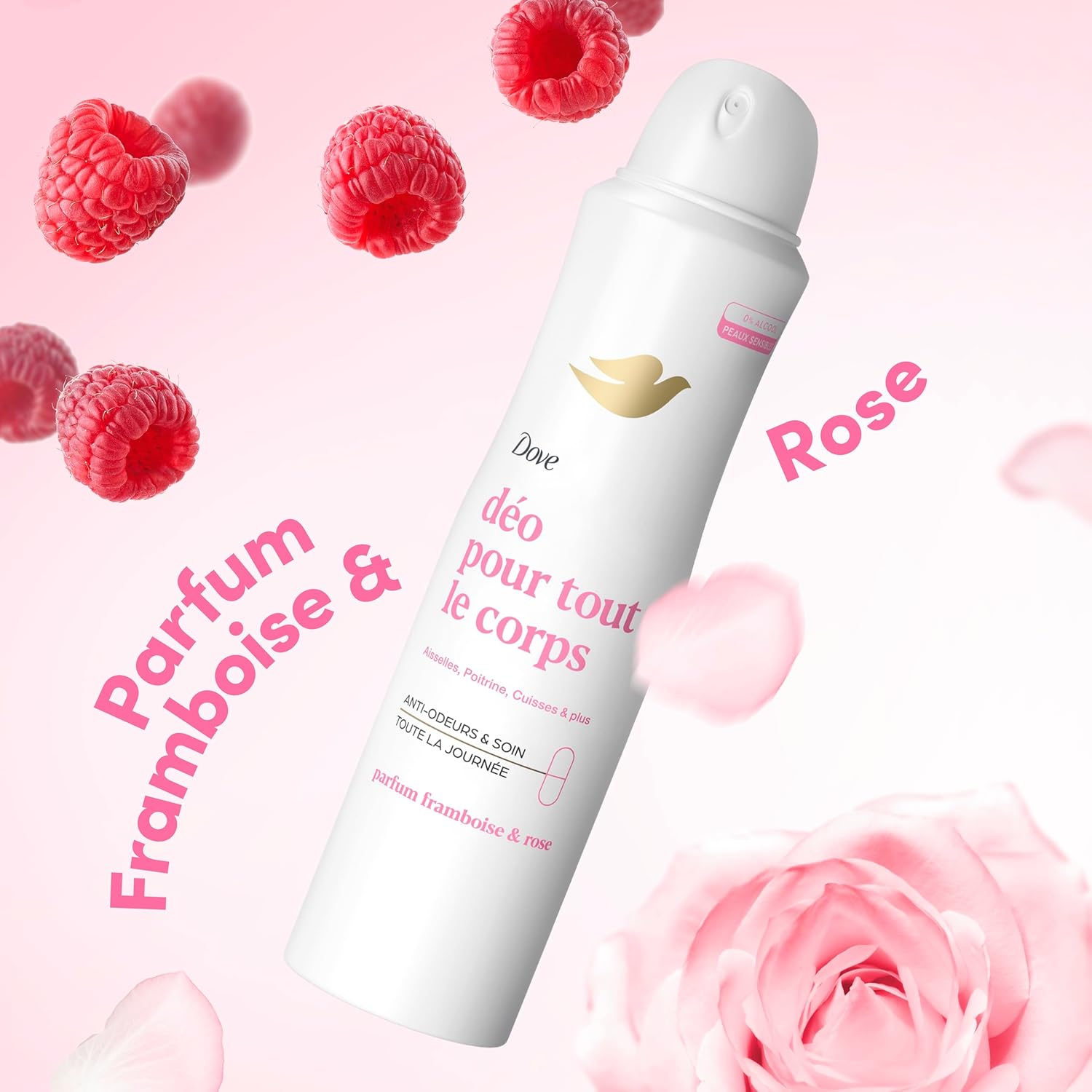 Dove Déodorant Spray Corps Framboise Rose Protection 72h