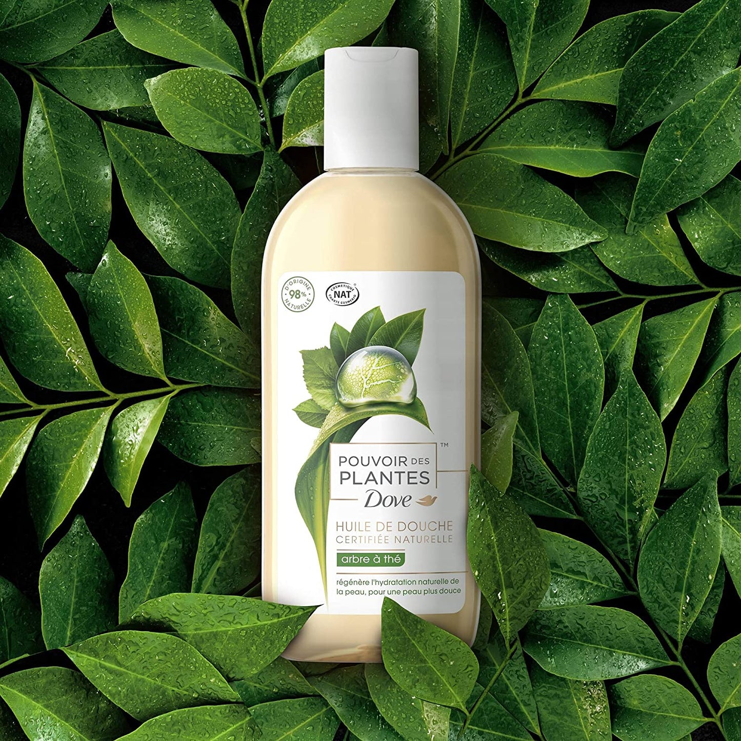 Huile de douche DOVE Pouvoir des Plantes Arbre à Thé