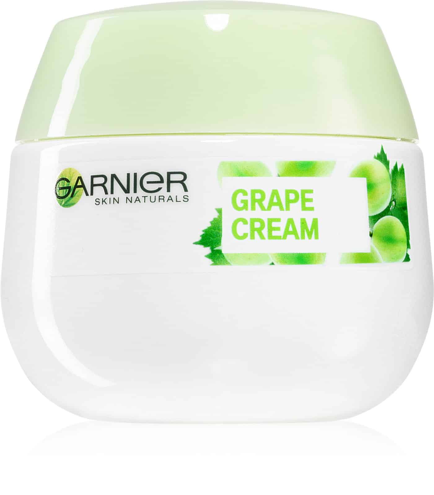 Garnier Botanical crème hydratante pour peaux normales à mixtes