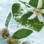 Yves Rocher Bain Douche Amande Fleur d'Oranger - 200ml – Image 2