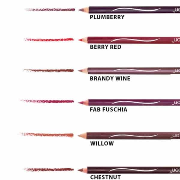Wet n Wild Crayon à Lèvre - Color Icon Lipliner