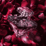 Lancôme La Nuit Trésor Dentelle De Rose - Eau De Parfum – Image 2