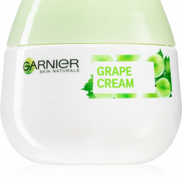 Garnier Botanical crème hydratante pour peaux normales à mixtes