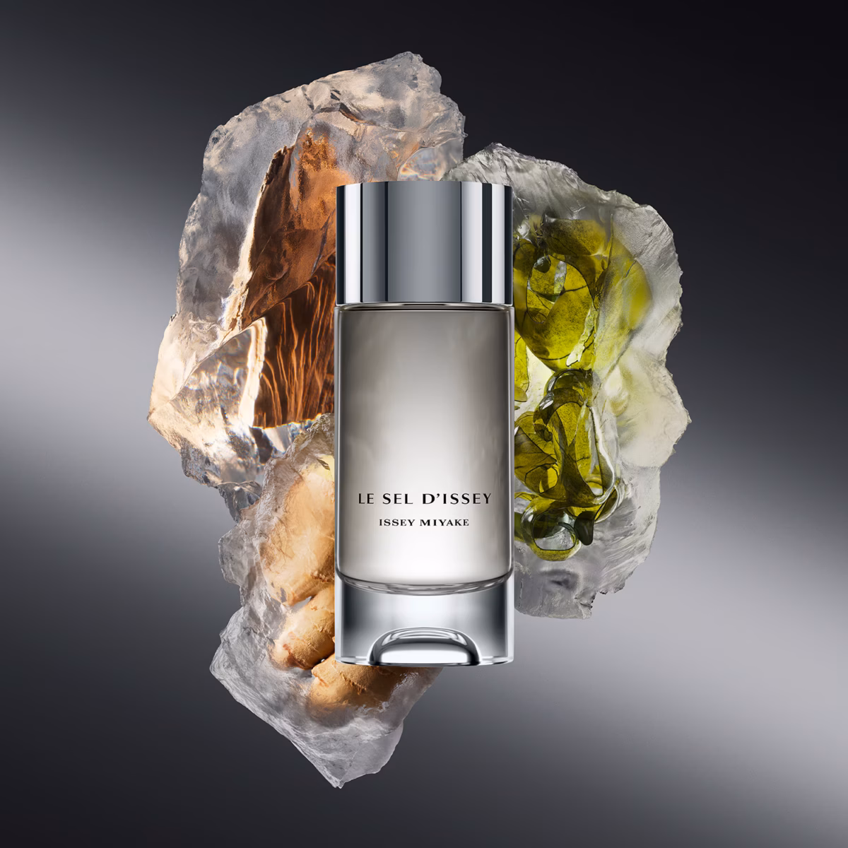 Le Sel d'Issey – Eau de Toilette pour Homme – Issey Miyake - Decants/Miniatures – Image 3