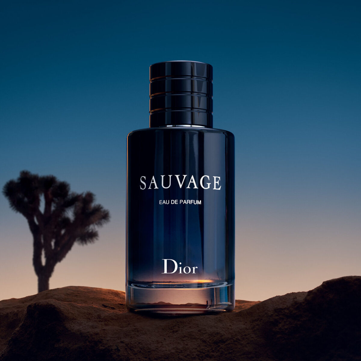 DIOR Sauvage – Eau de Parfum pour Homme - Decants/Miniatures – Image 2