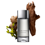 Le Sel d'Issey – Eau de Toilette pour Homme – Issey Miyake - Decants/Miniatures